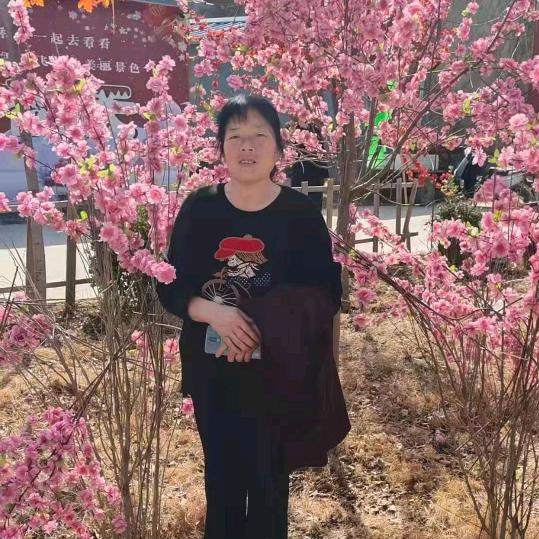 蓝莲花