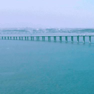 《我若不坚强🍓谁替我买单》