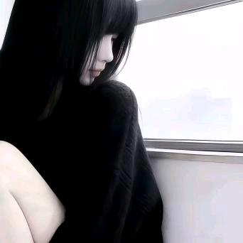 懒猫