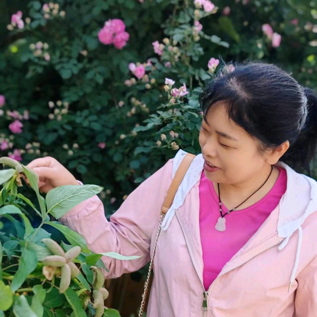 卖家具的杨姐（全*友）