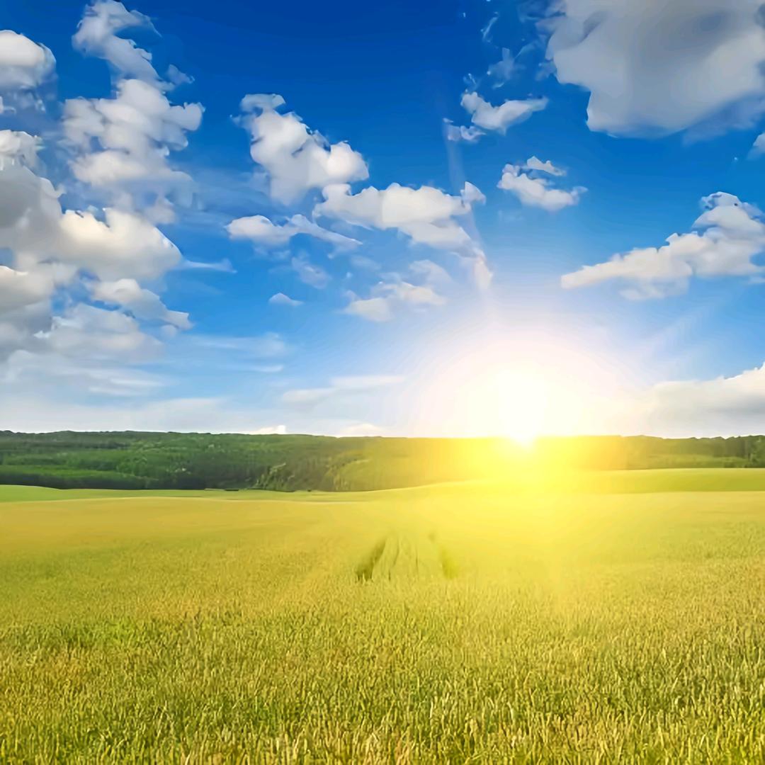 子君小朋友❤️