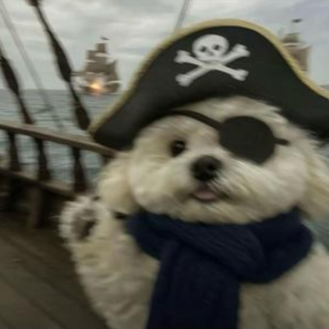 周口皇牛特价新车-单朋辉