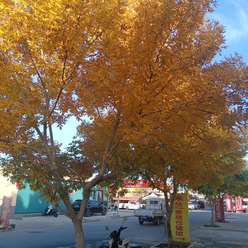 敦煌市恒雅商贸有限责任公司