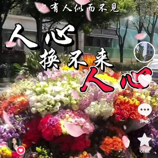 票一停全归零