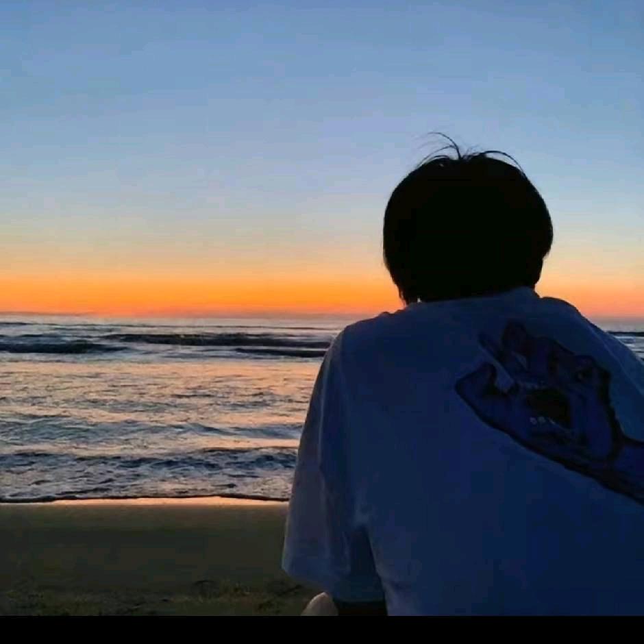 深林日记