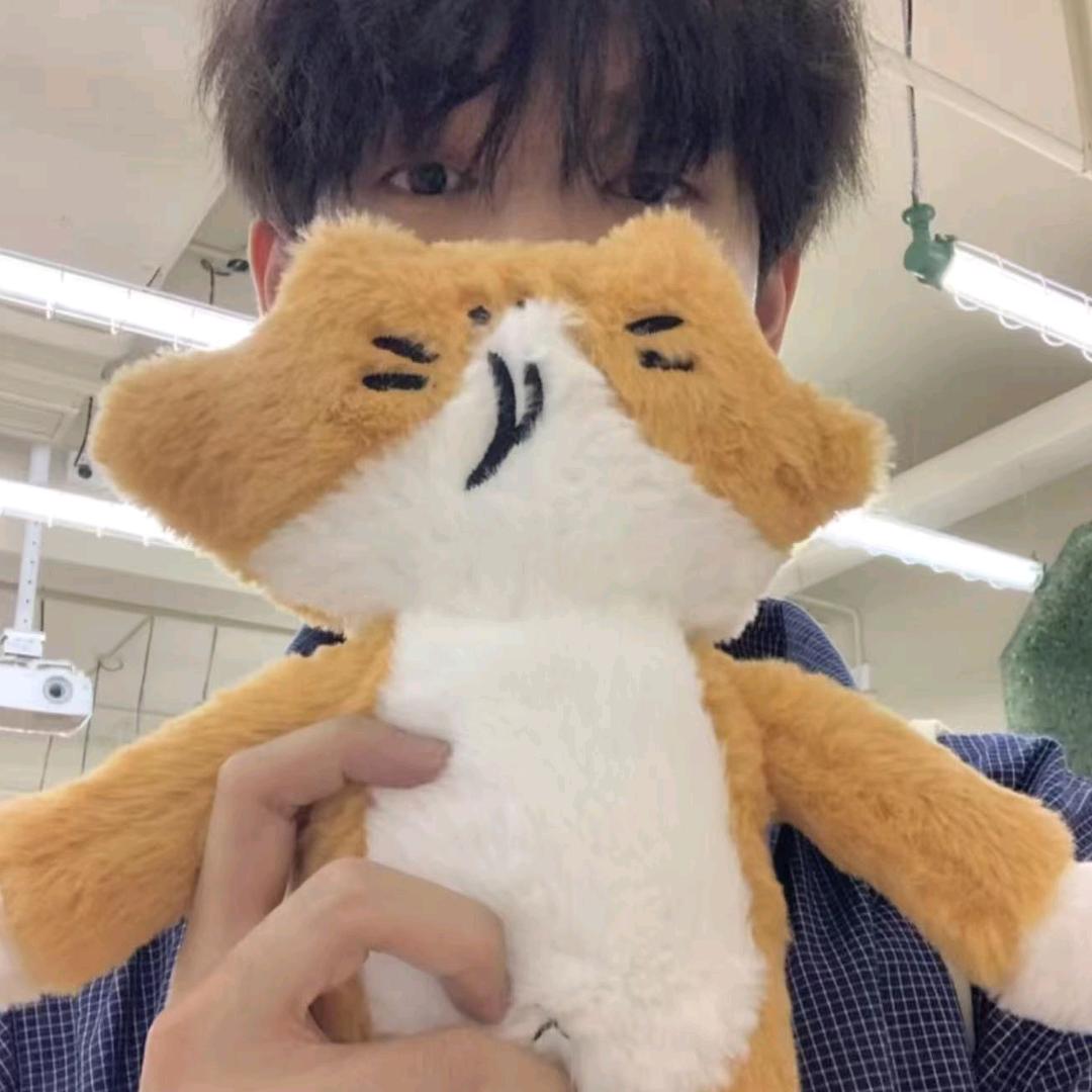 糖炒李子