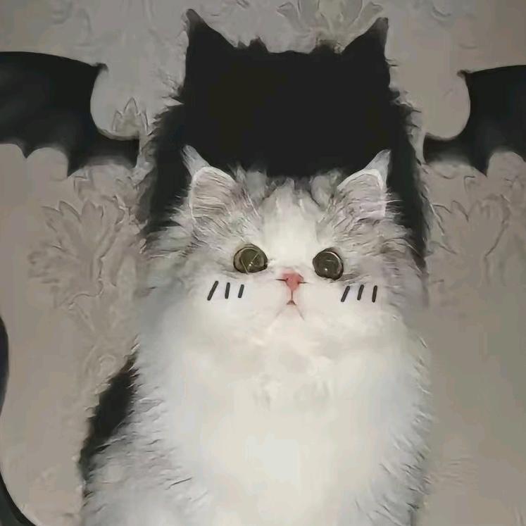 火百货好物分享