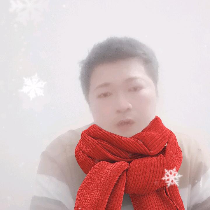 理总