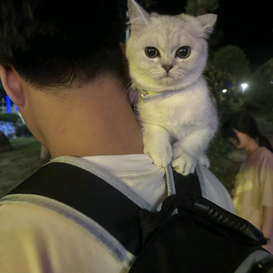 小鑫没有蜡笔