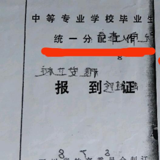 工作被顶替