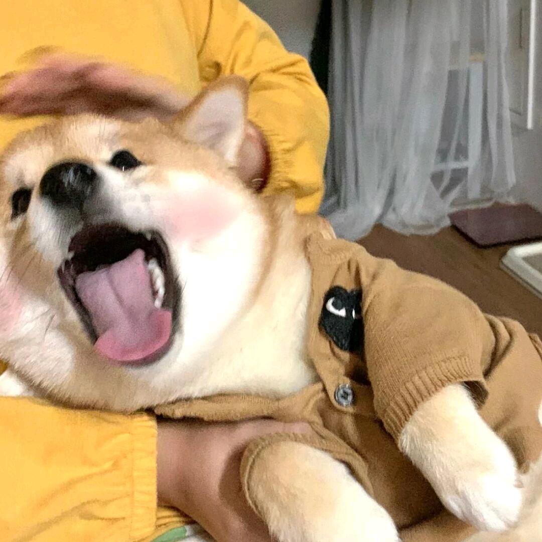 空空哦