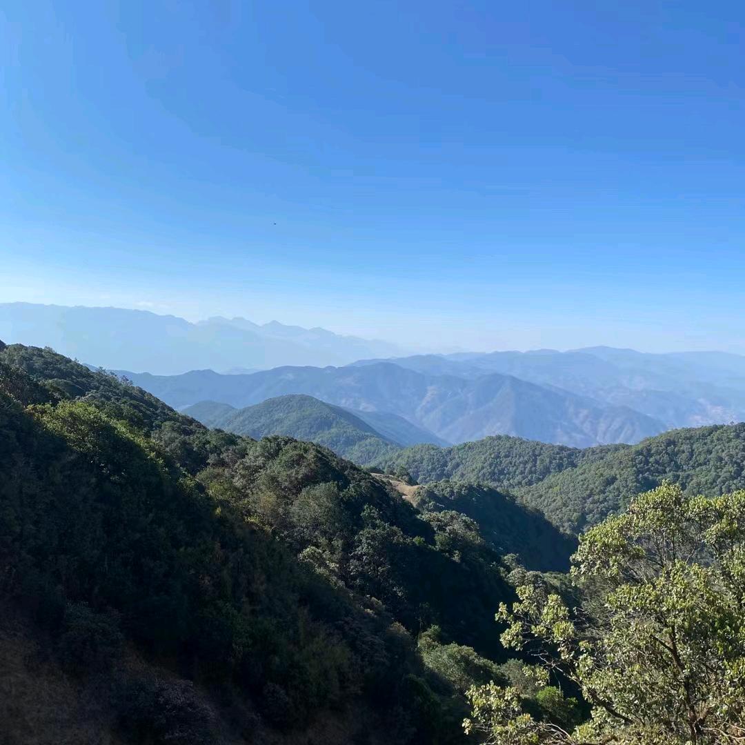 树高千丈不忘根，人若辉煌莫忘恩。