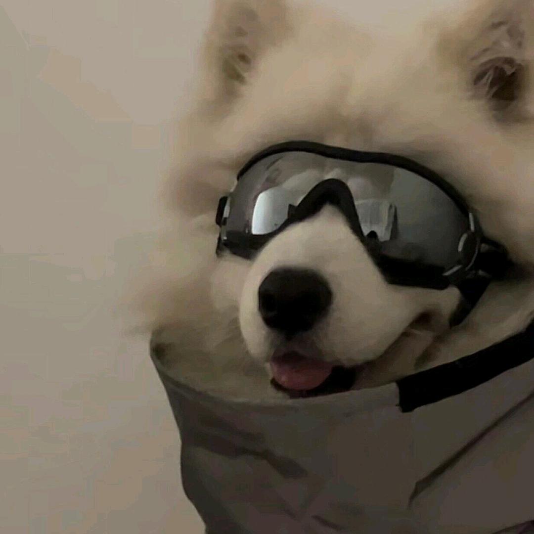 庄庄