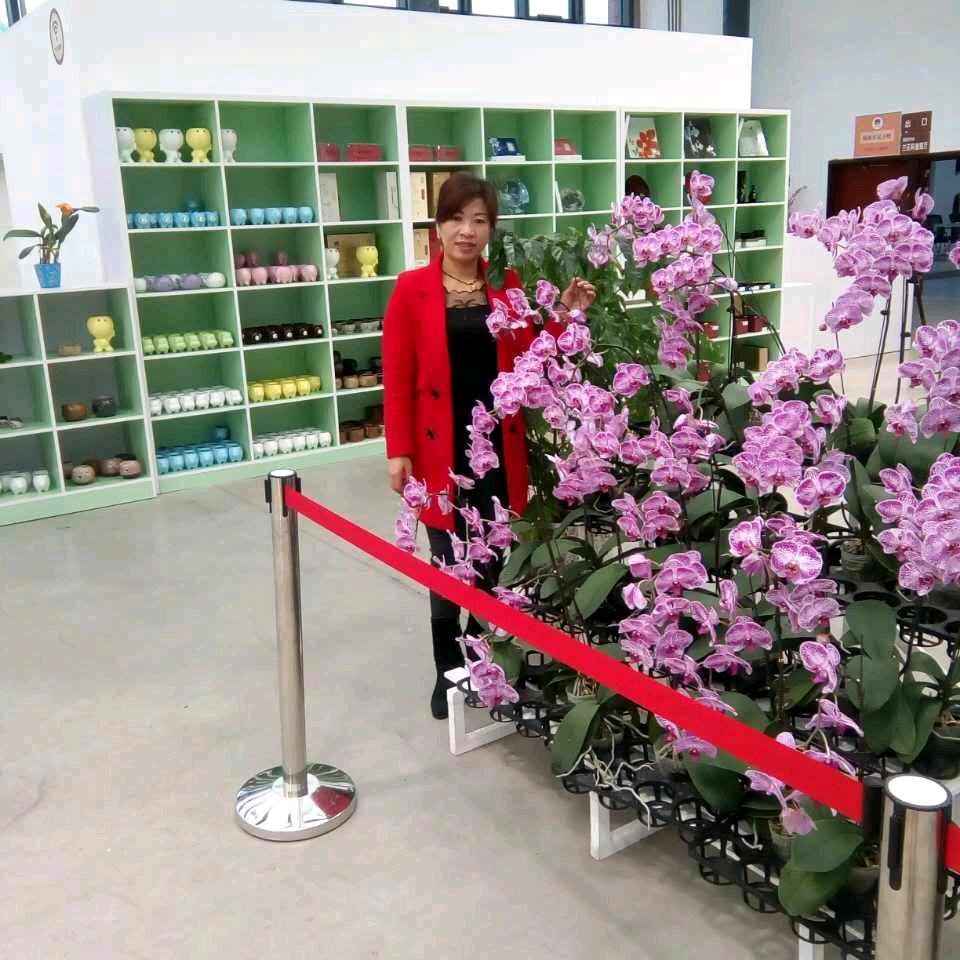 綦江名飞门窗（峰汇国际店）