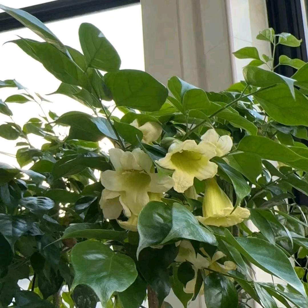 幸福传承智慧蒋欣汝