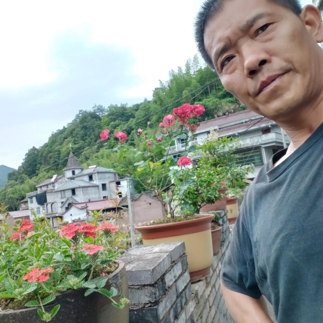 杨晓伟
