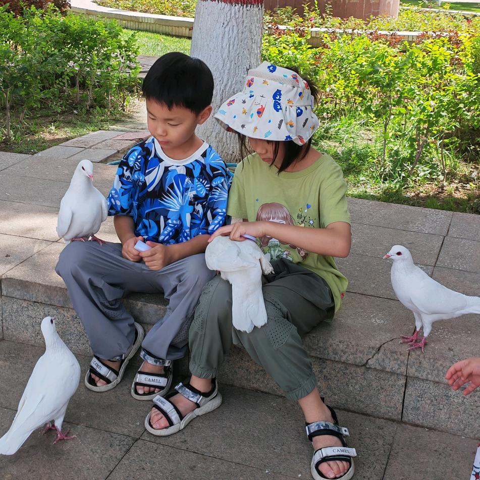 地主