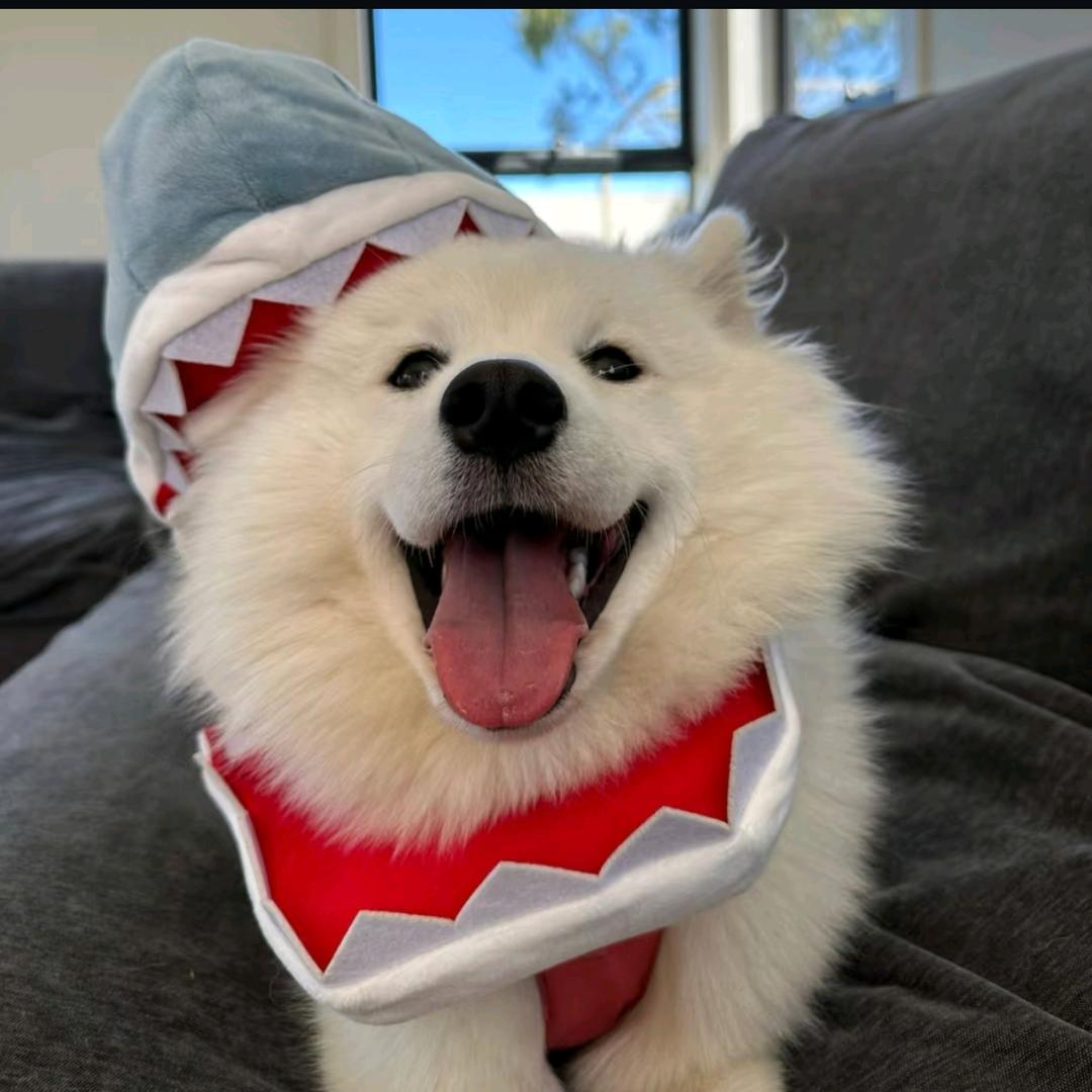 苦茶ʚ🧸ྀིɞ︎