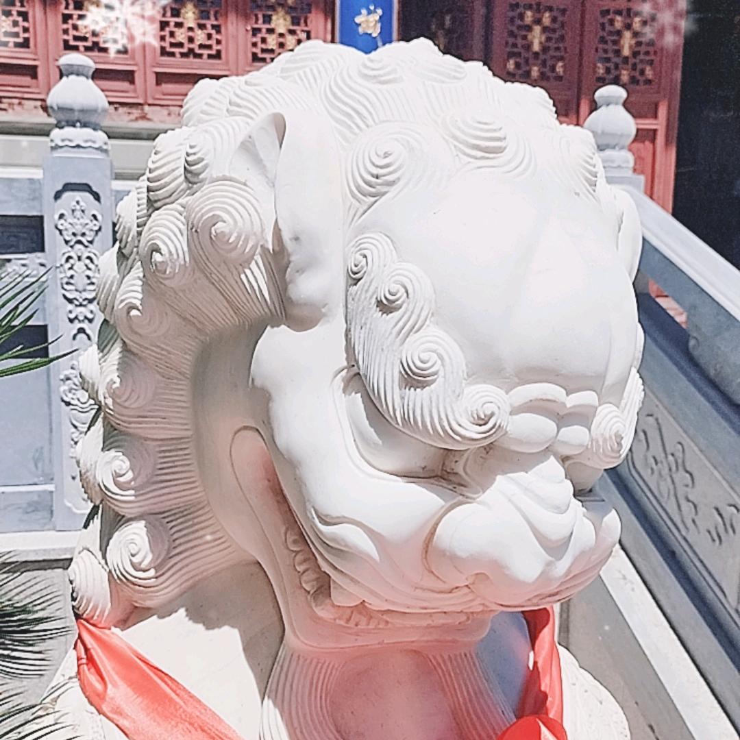王进