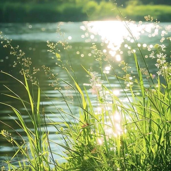 钢琴调律维修·孙老师