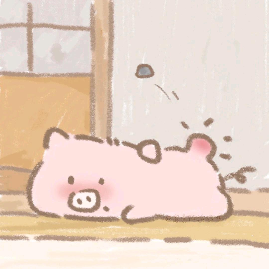 大花猫