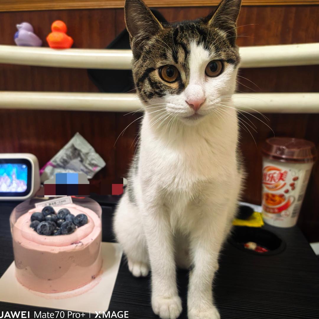 luminary（见过周深版）