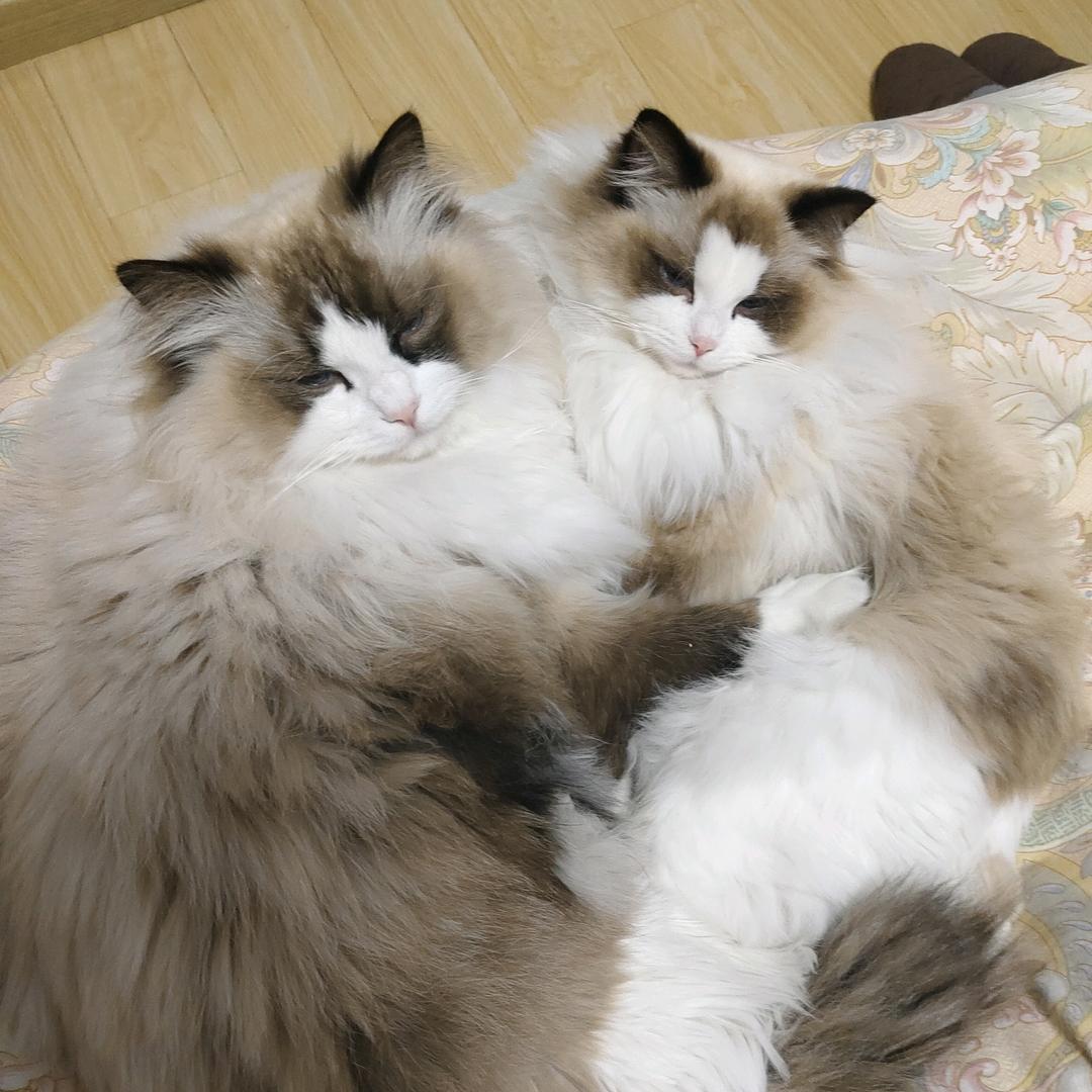 知足