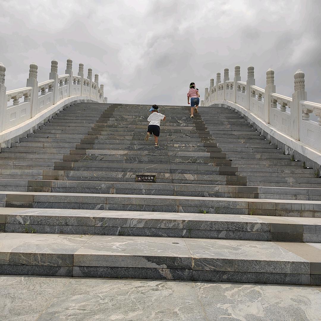 淮阳振伟蔬菜(代办)