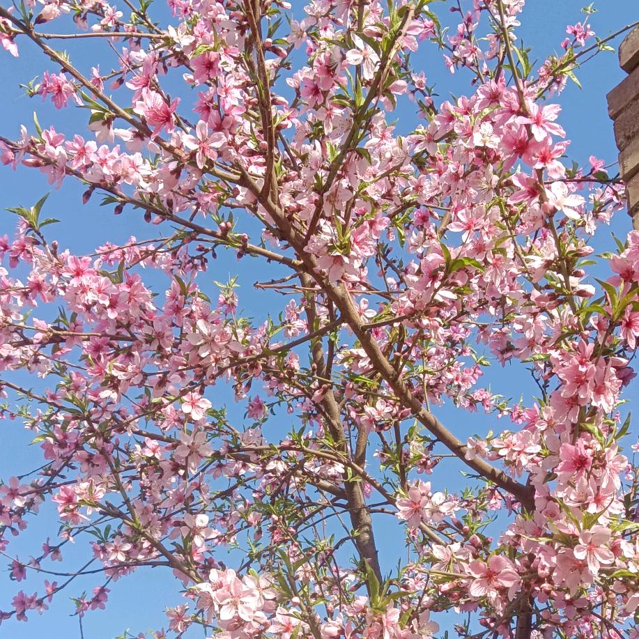 八零后的🐰🐰🐰