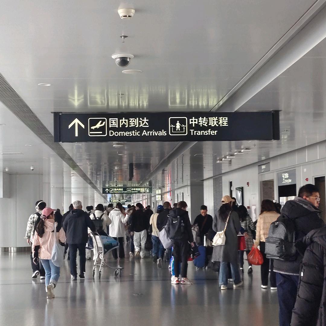 凌云