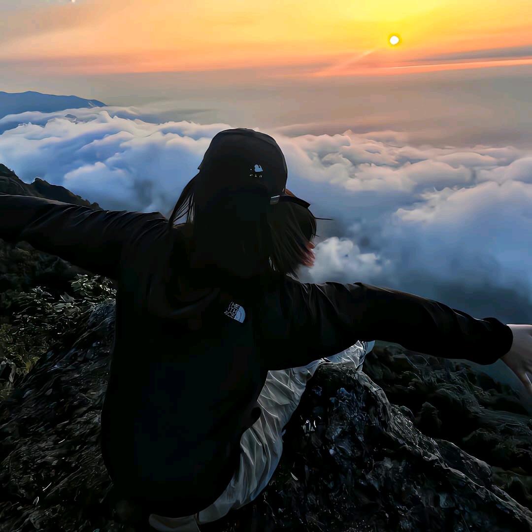 鹿饮溪