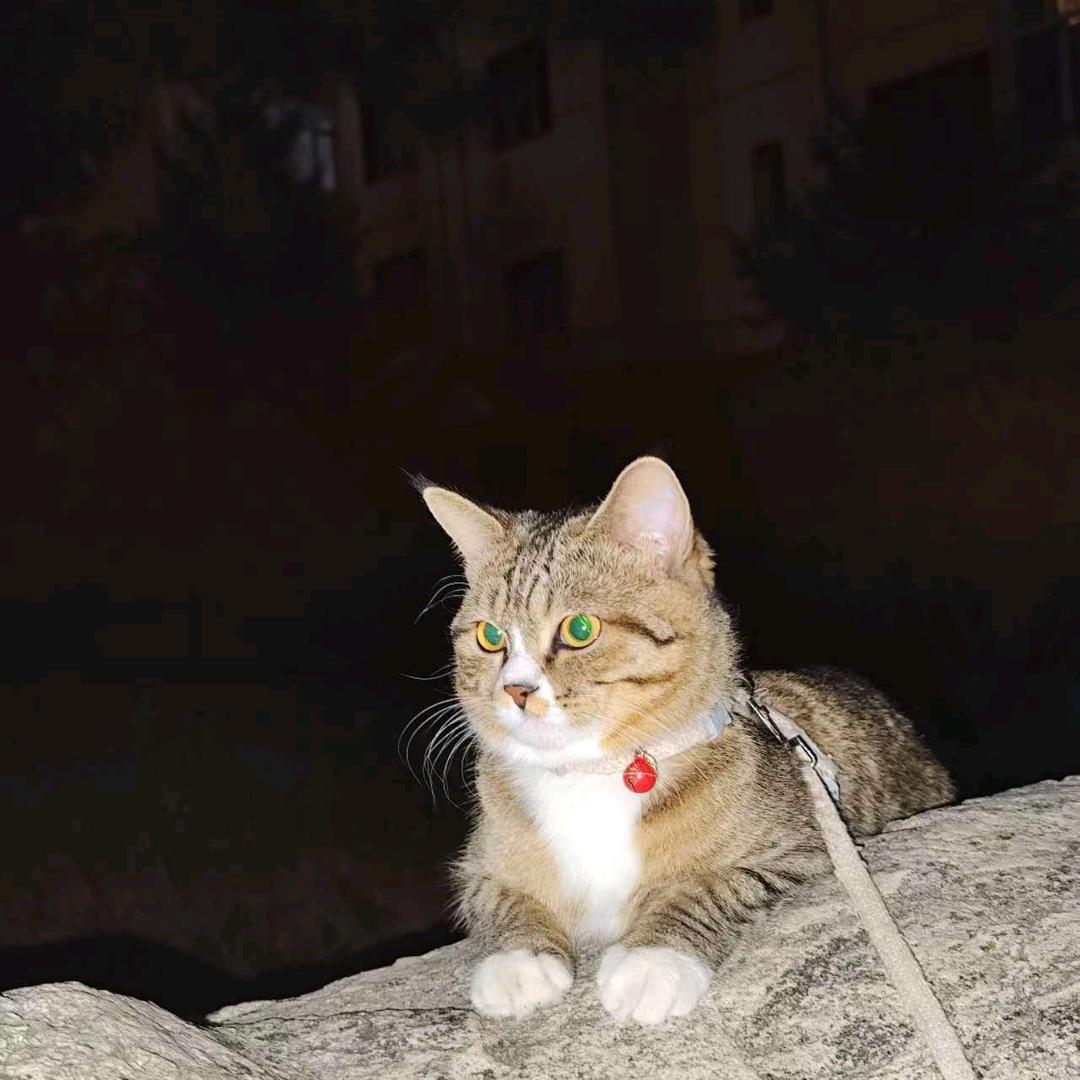 青春永驻