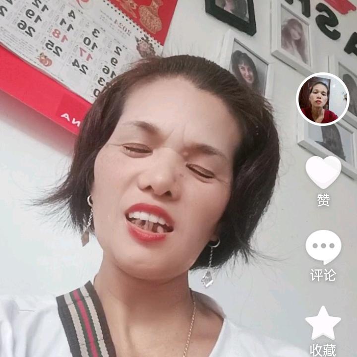 孤单的蛇
