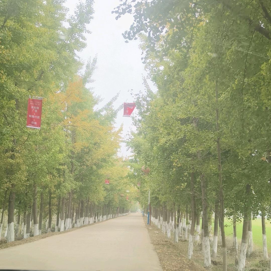 木子李๑♡ω♡๑