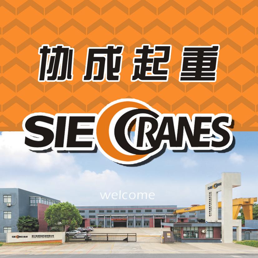 浙江协成欧式起重机