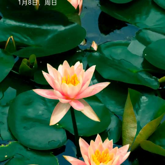 上海垭锦拆除工程有限公司