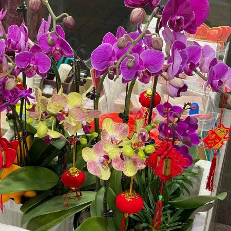 爱的故事（终集）