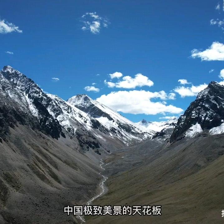 用户3565153374556