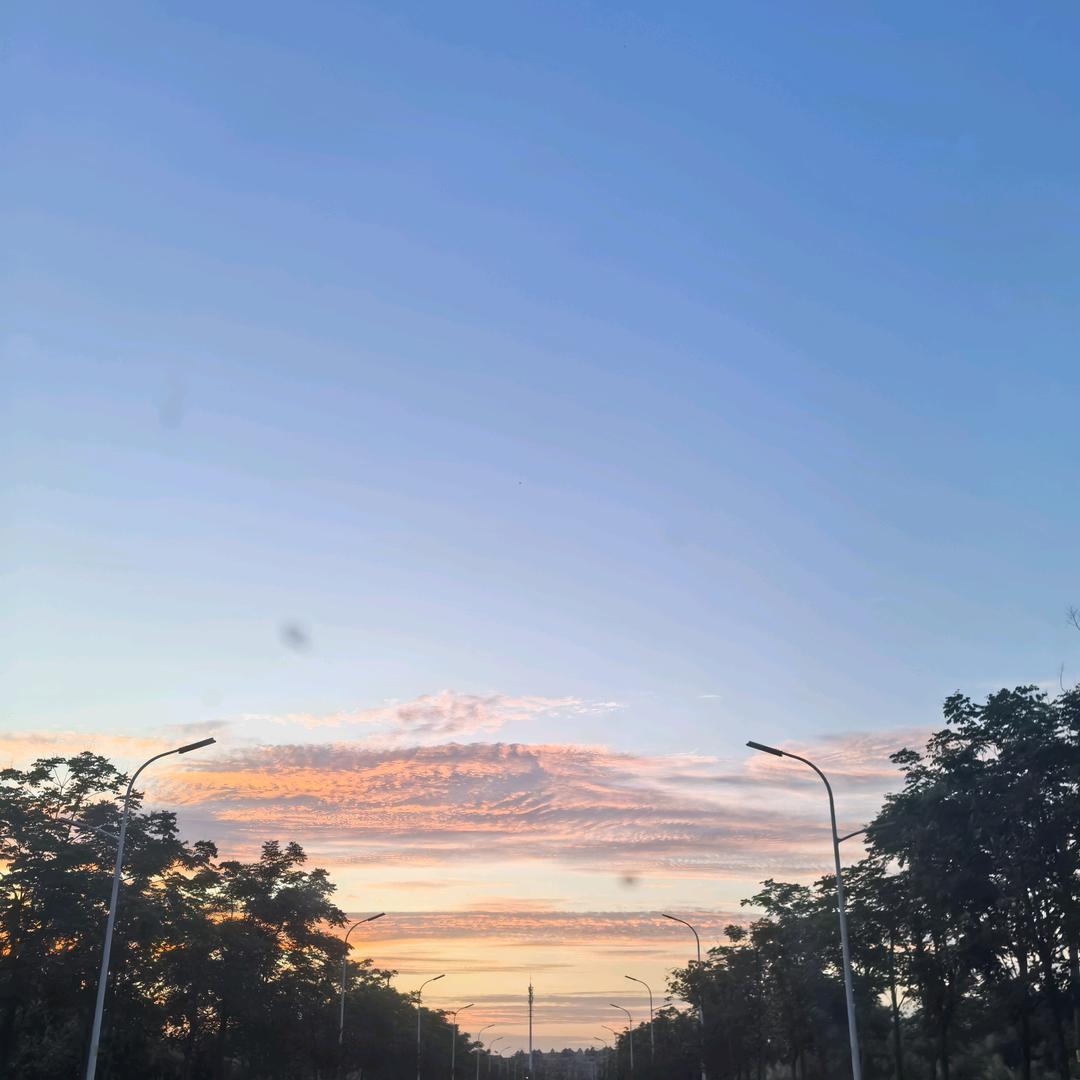 菜英雄—卖菜翁
