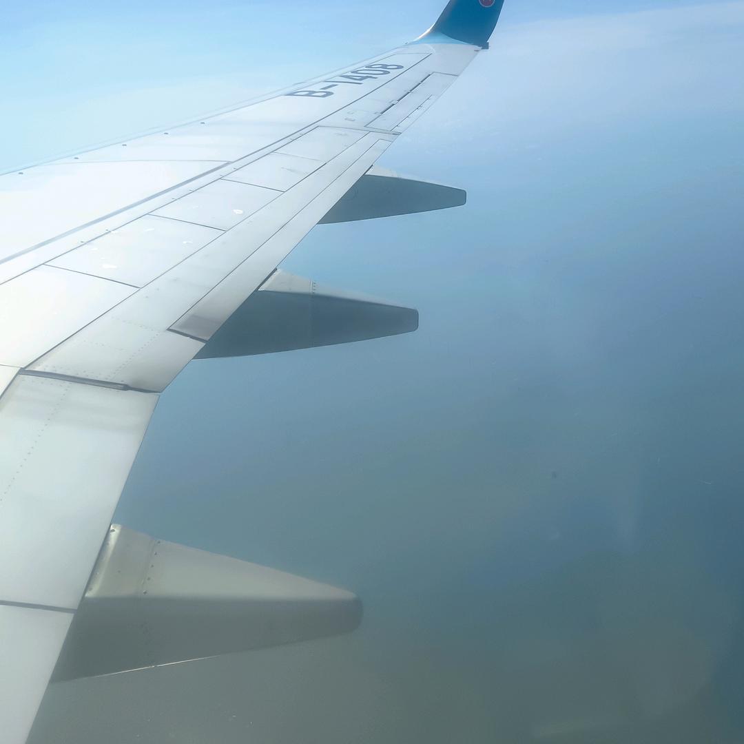 沼泽