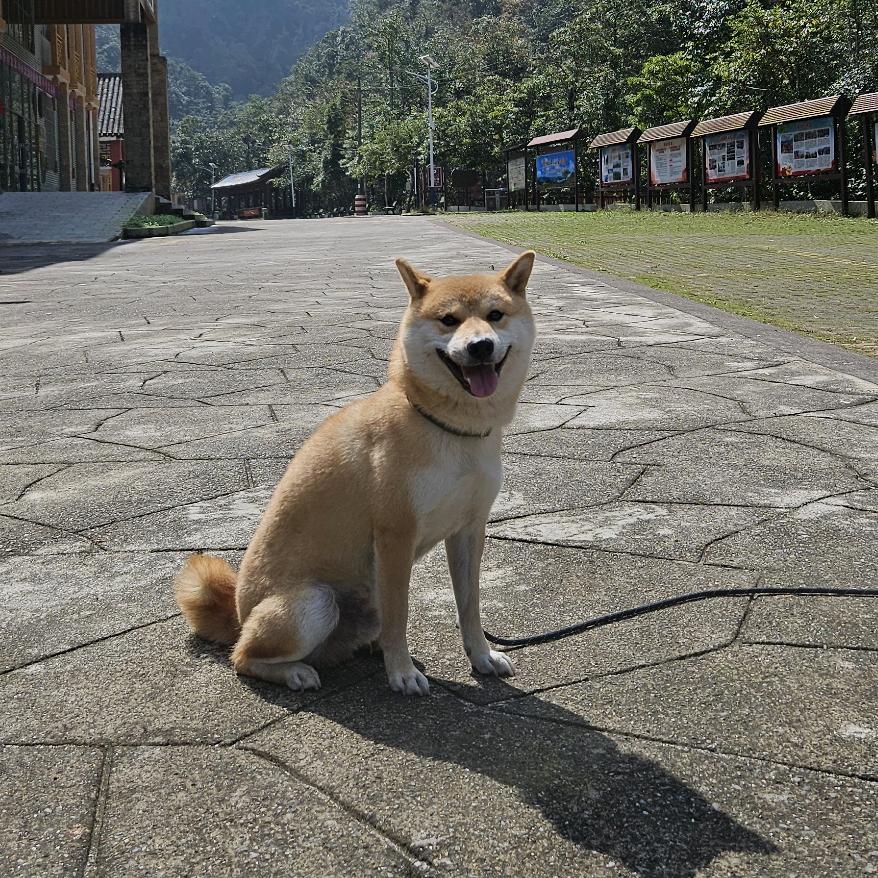 冒险只只电玩