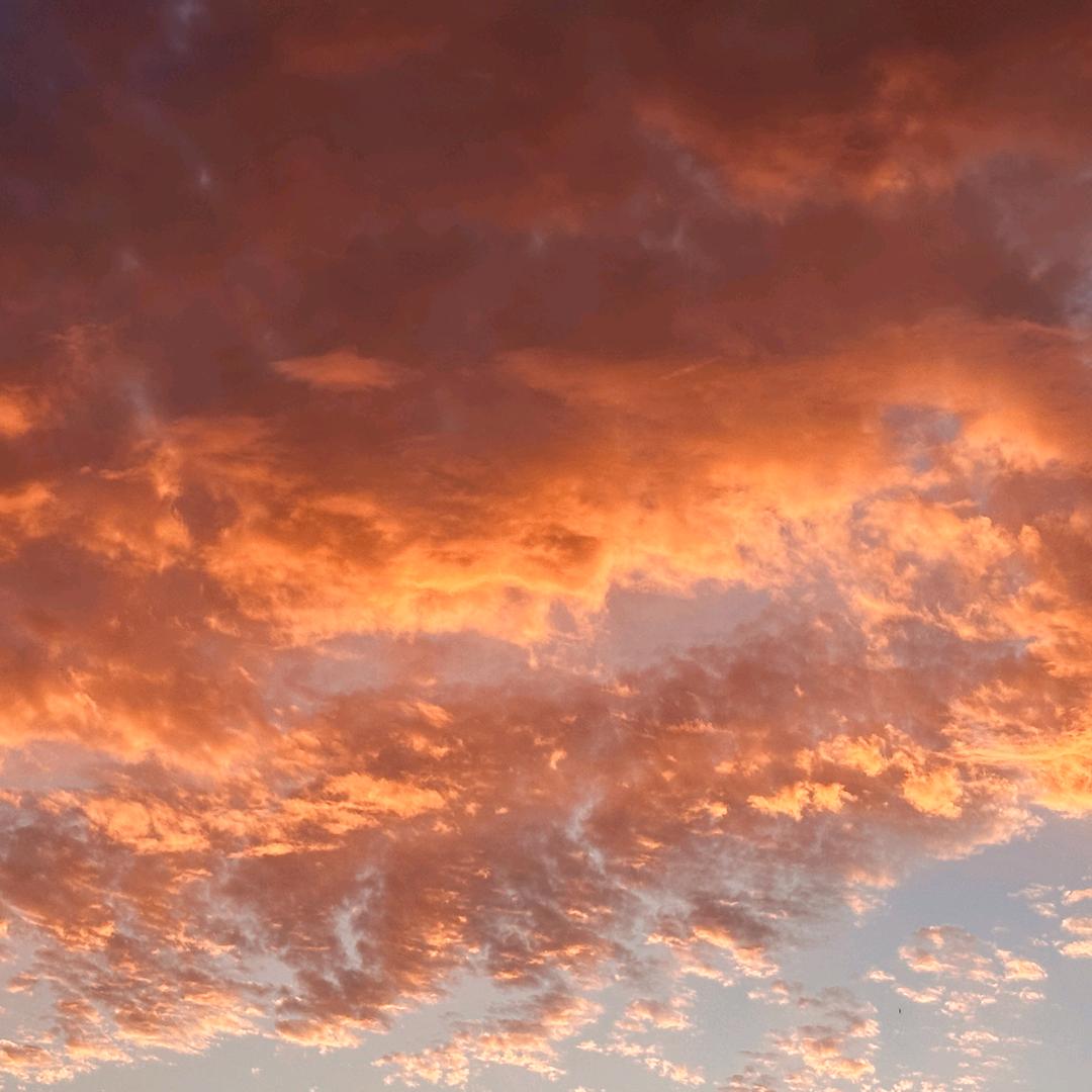 狗哥 聊吴忠房子的故事