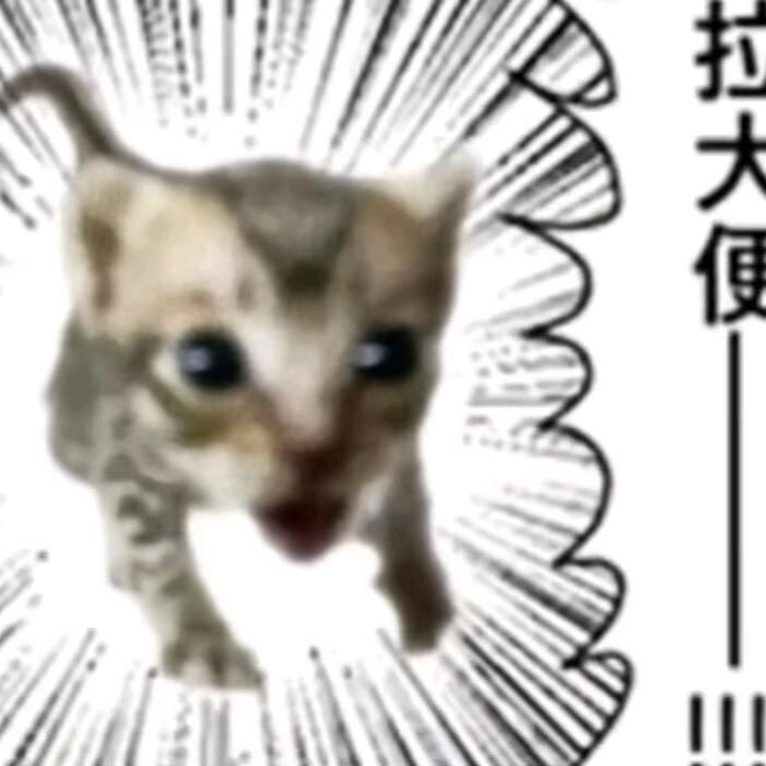 小咪