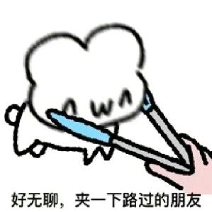 祺宝