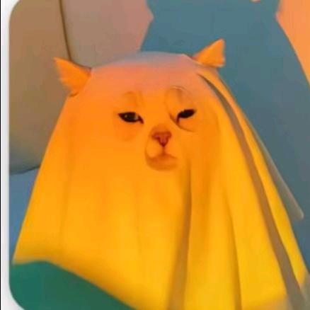 卷儿～