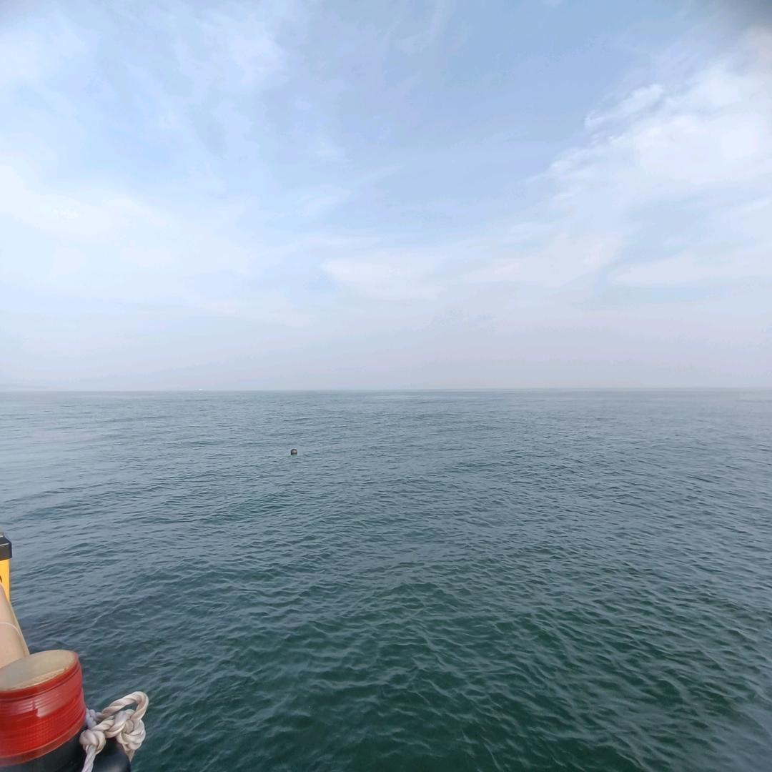 英姿飒爽。浩然正气兵哥哥