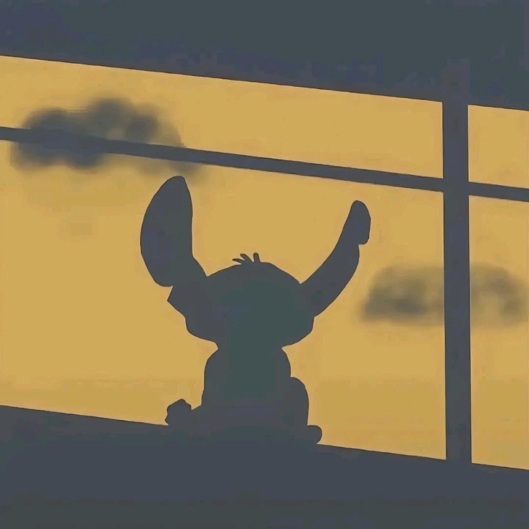 羽泽