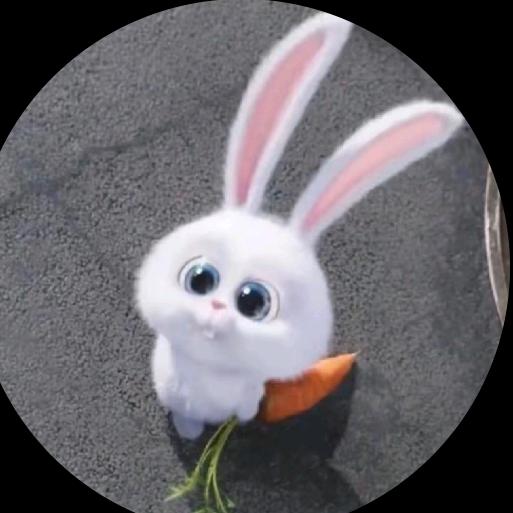 挣钱包下大兴安岭招松鼠采松子完了干烘干塔