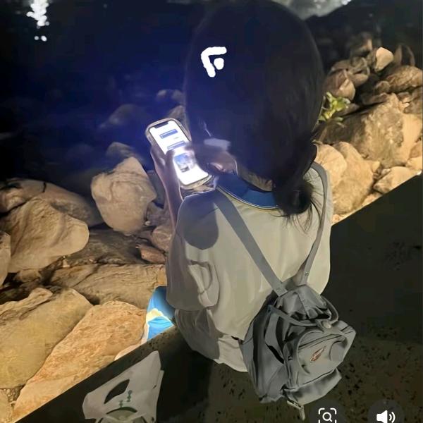 "摆烂的小鱼"💤头像