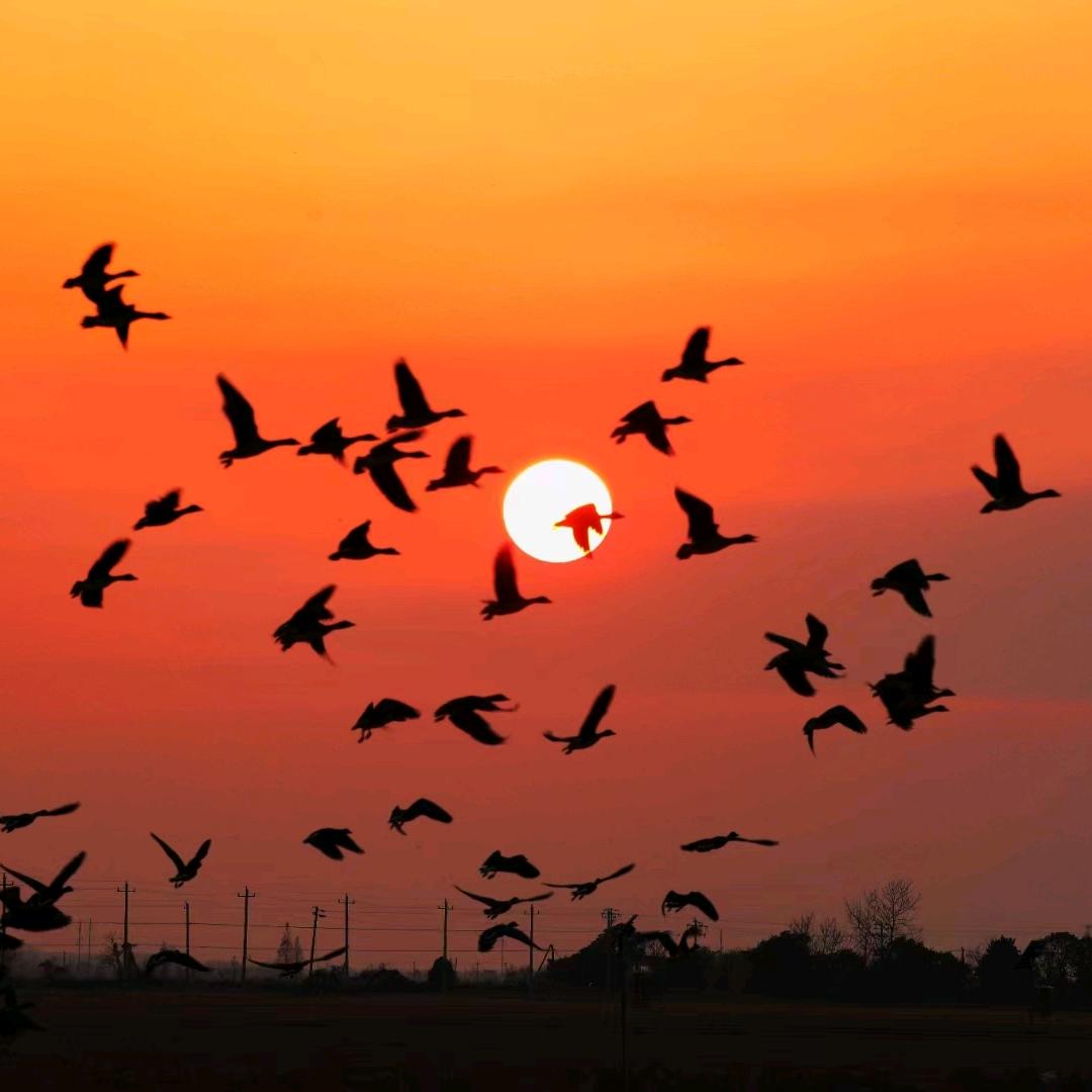 🎀良🎀心🎀债